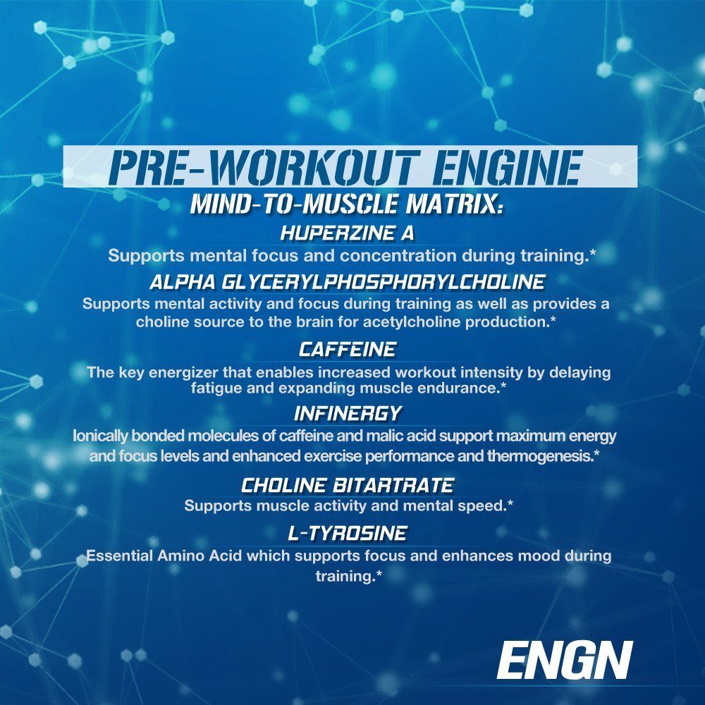 EVL ENGN Blue Raz Preworkout Powder 30 Servings Energy Focus Recovery Supplement
