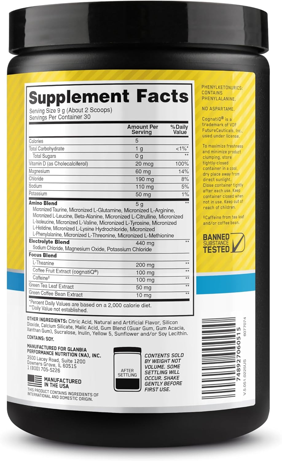 Amino Energy Powder plus Hydration, with BCAA, Electrolytes, and Caffeine, Pine