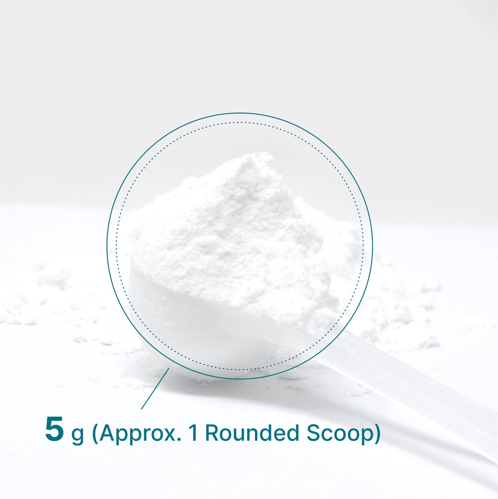 Micronized Creatine Monohydrate Powder 5g – 120 Servings, Unflavored, Fast Absor