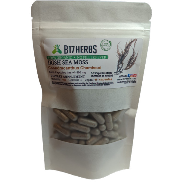 Irish Moss Seaweed Powder Caps (CHONDRACANTHUS CHAMISSOI) – RED ALGAE 100 Caps