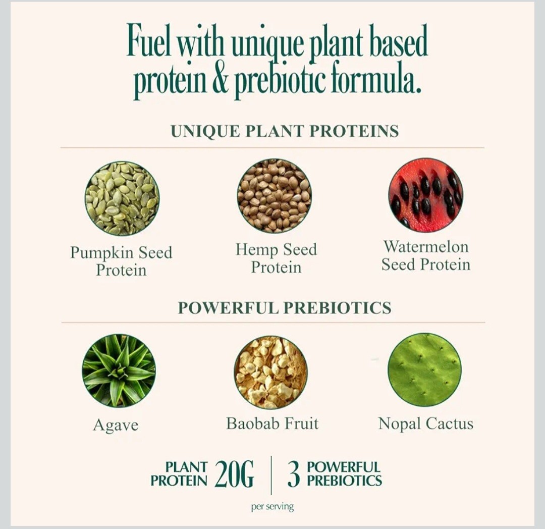 Coolside Superfood Vegan Protein Powder Chocolate 20g Plant Based 15 Servings