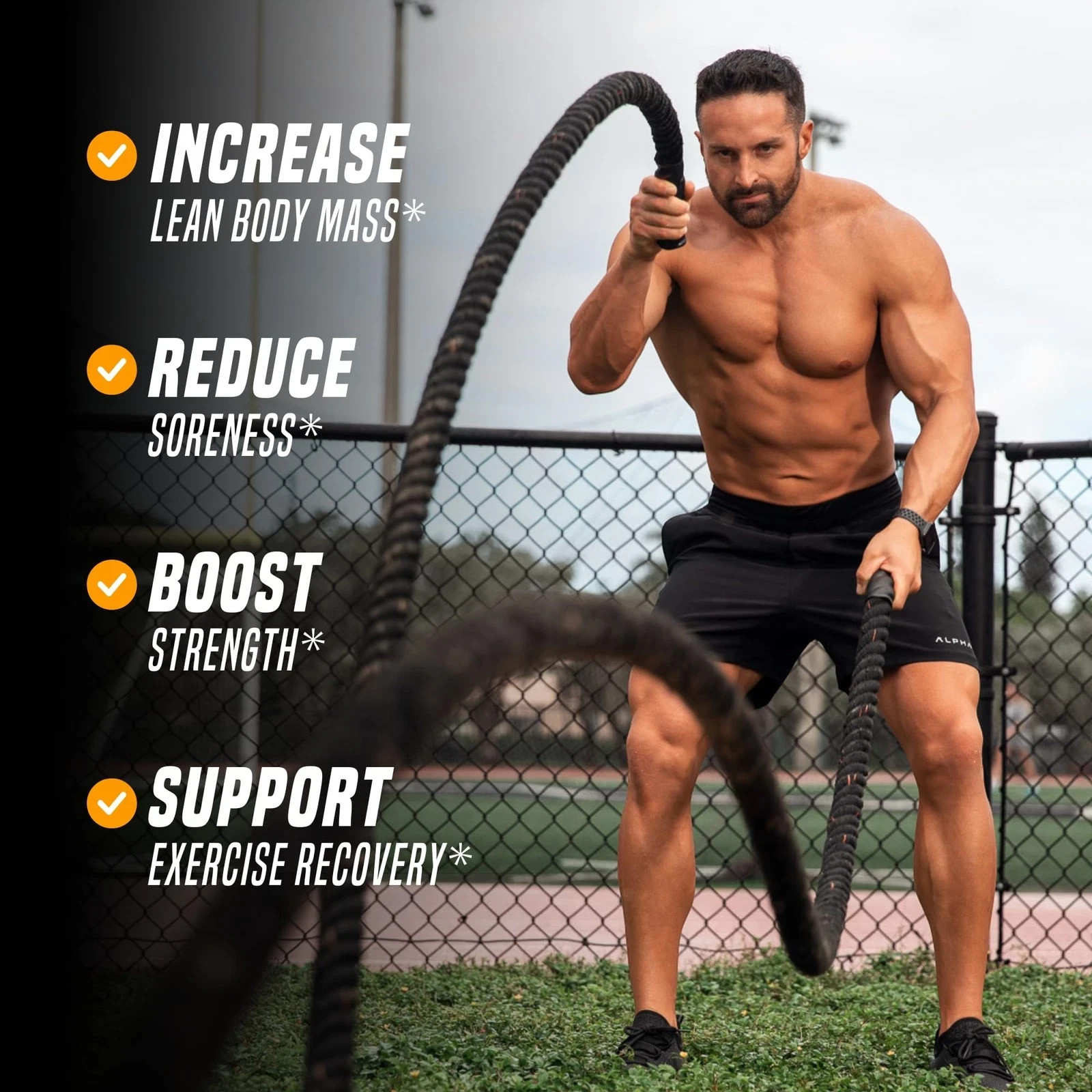 Outwork Nutrition Post Workout Recovery Powder Creatine Monohydrate, KSM66 A…