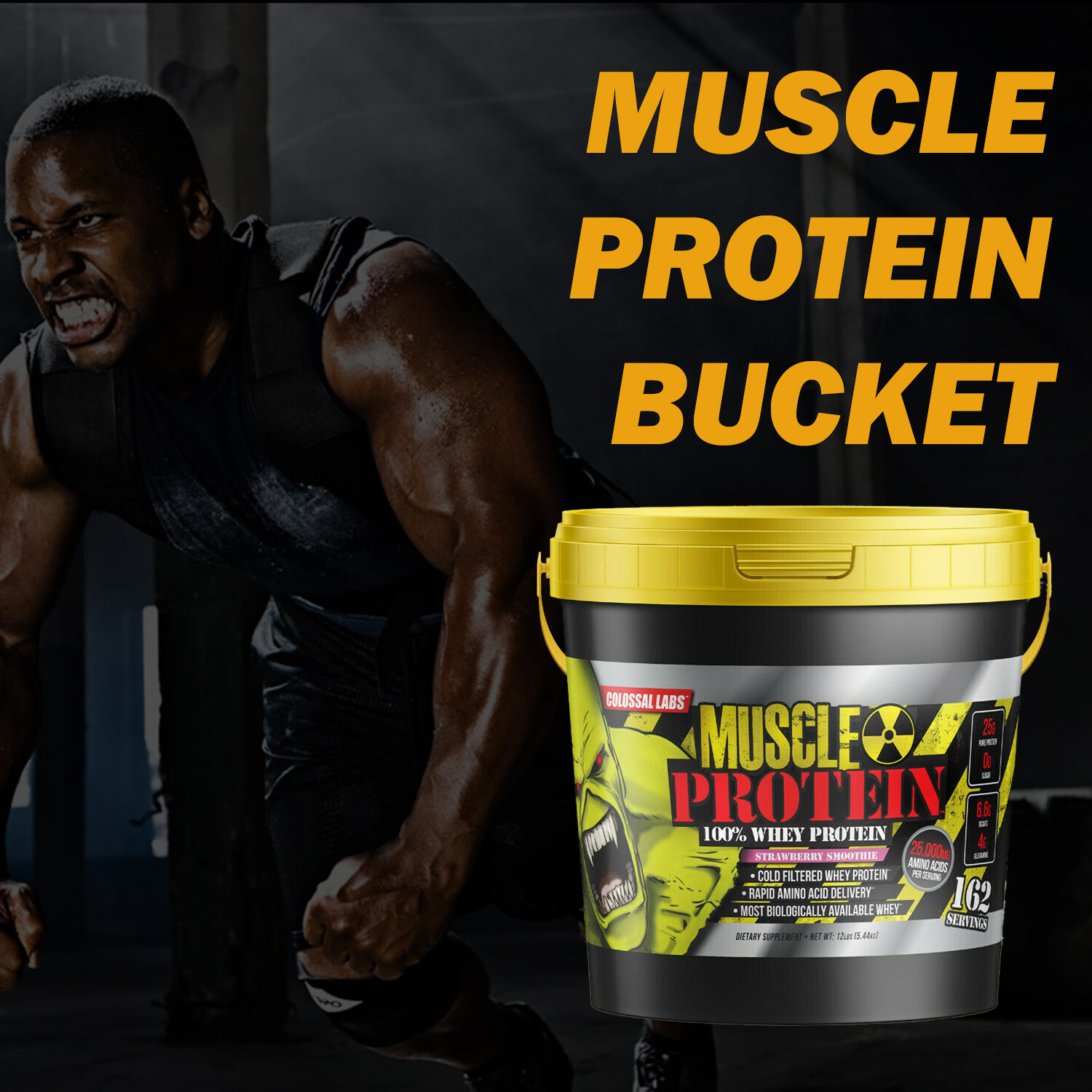 Whey Protein Muscle Powder with 25g Protein, 162 Servings, 12LB,