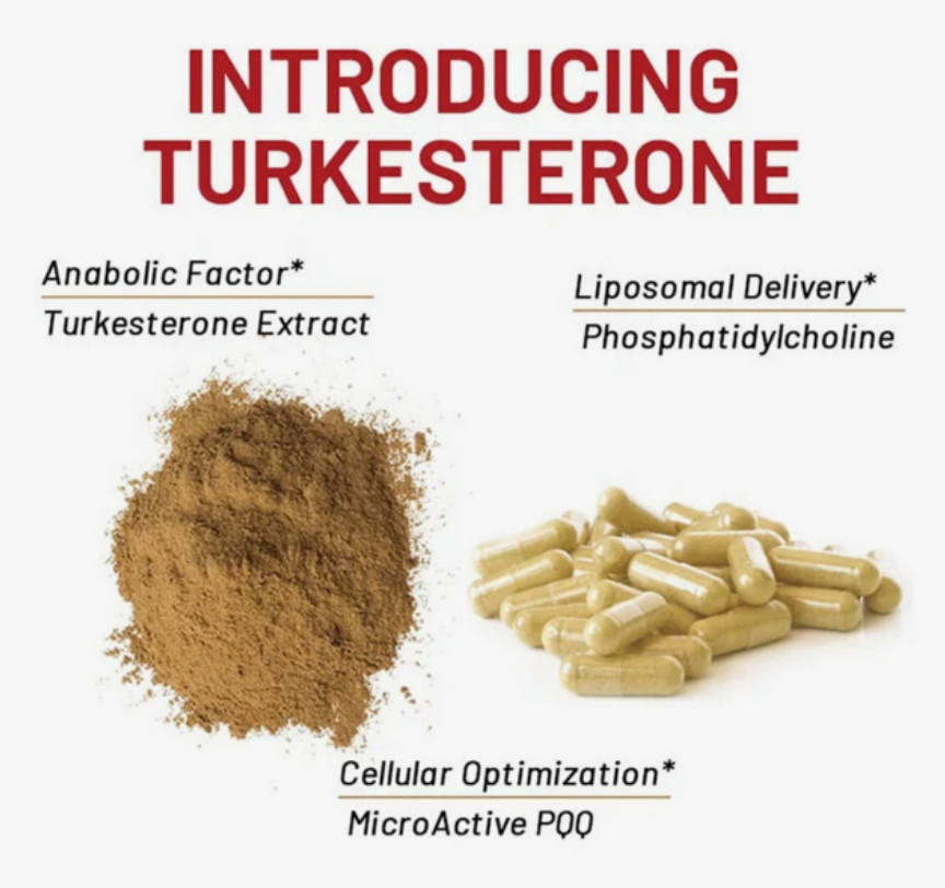 Turkesterone 500mg Complex/Ajuga Turkestanica 10% Standardized 60 CAPSULES,USA