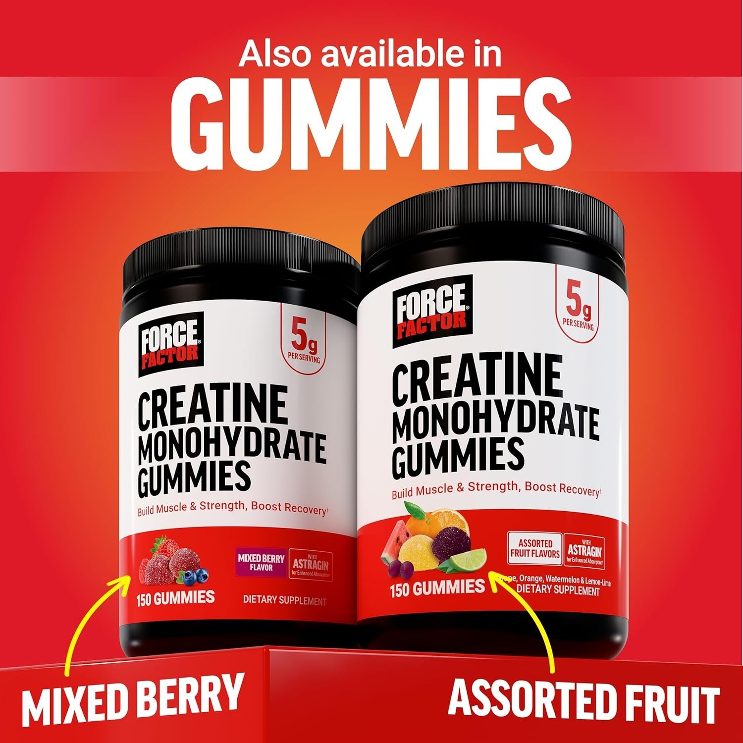 Micronized Creatine Monohydrate 500G – Pure Performance & Cognitive Health