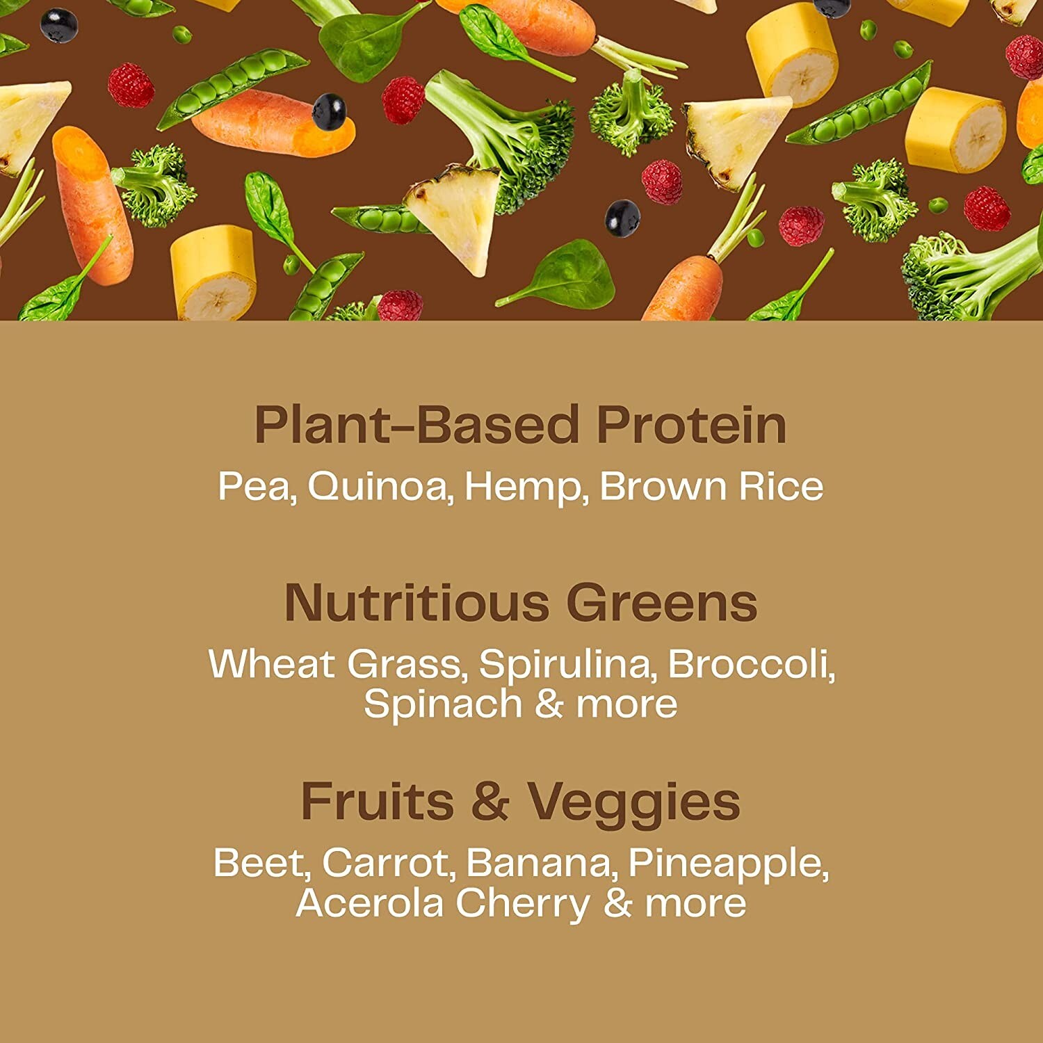 Amazing Grass Organic Plant Protein – Vegan -10 Serving- Chocolate Peanut Butter