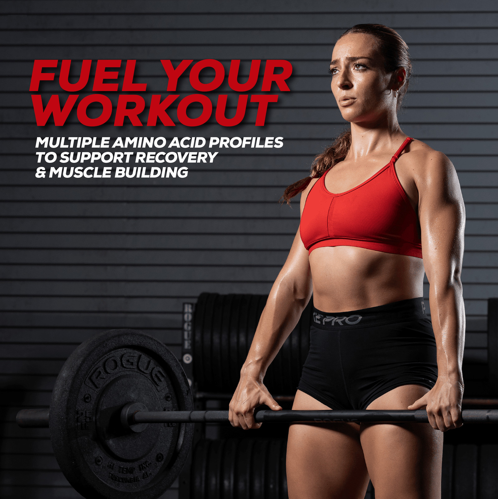 REDCON1 MRE Lite Whole Food Protein Powder, Chocolate, Whey & Lactose Free
