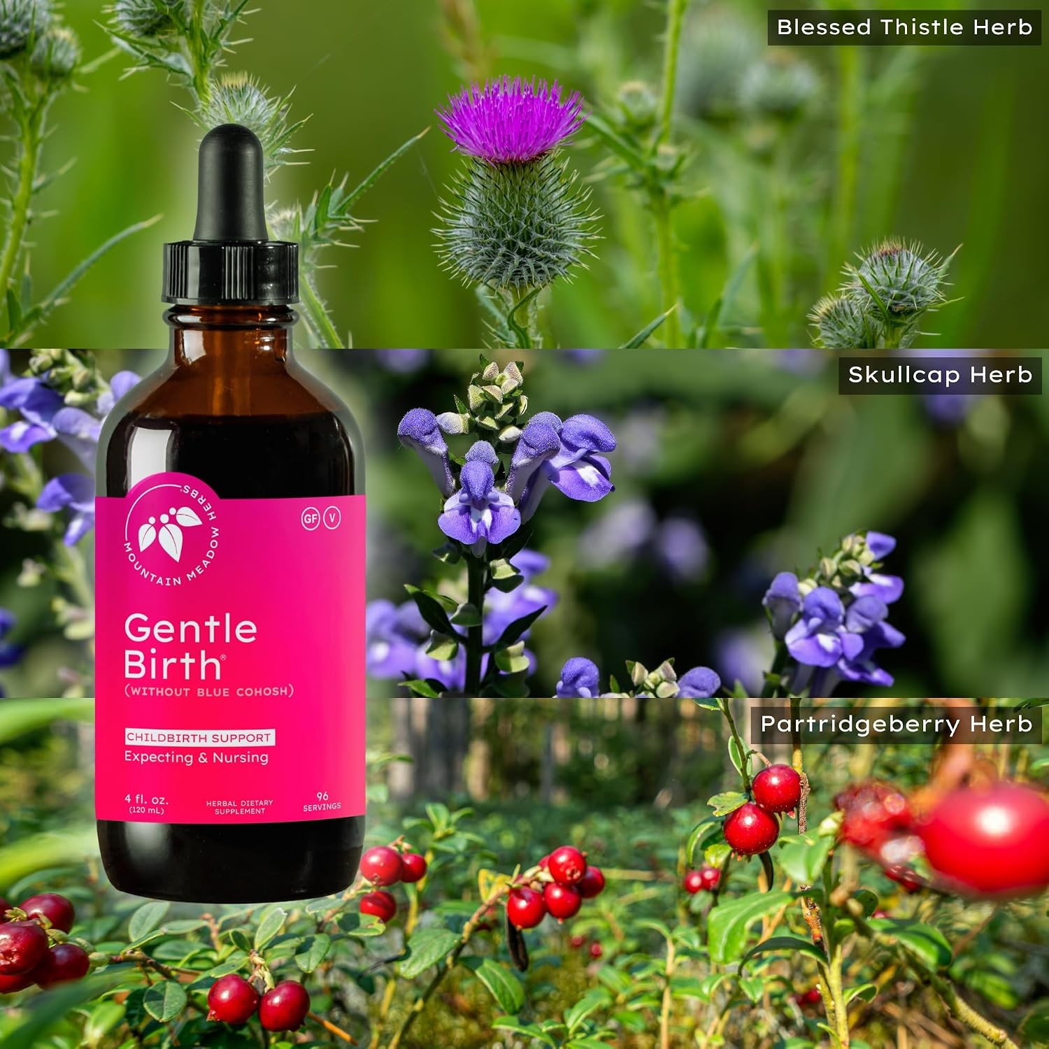 Mountain Meadow Herbs Gentle Birth for Birth Prep/Labor Prep, Fast Acting Liquid