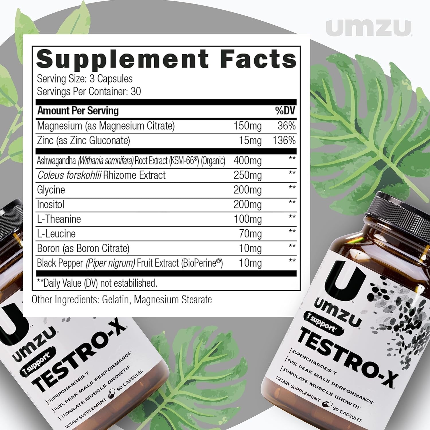 Testro X Supplement for Men Energy Focus Muscle Pumps Healthy T Levels 90 Caps