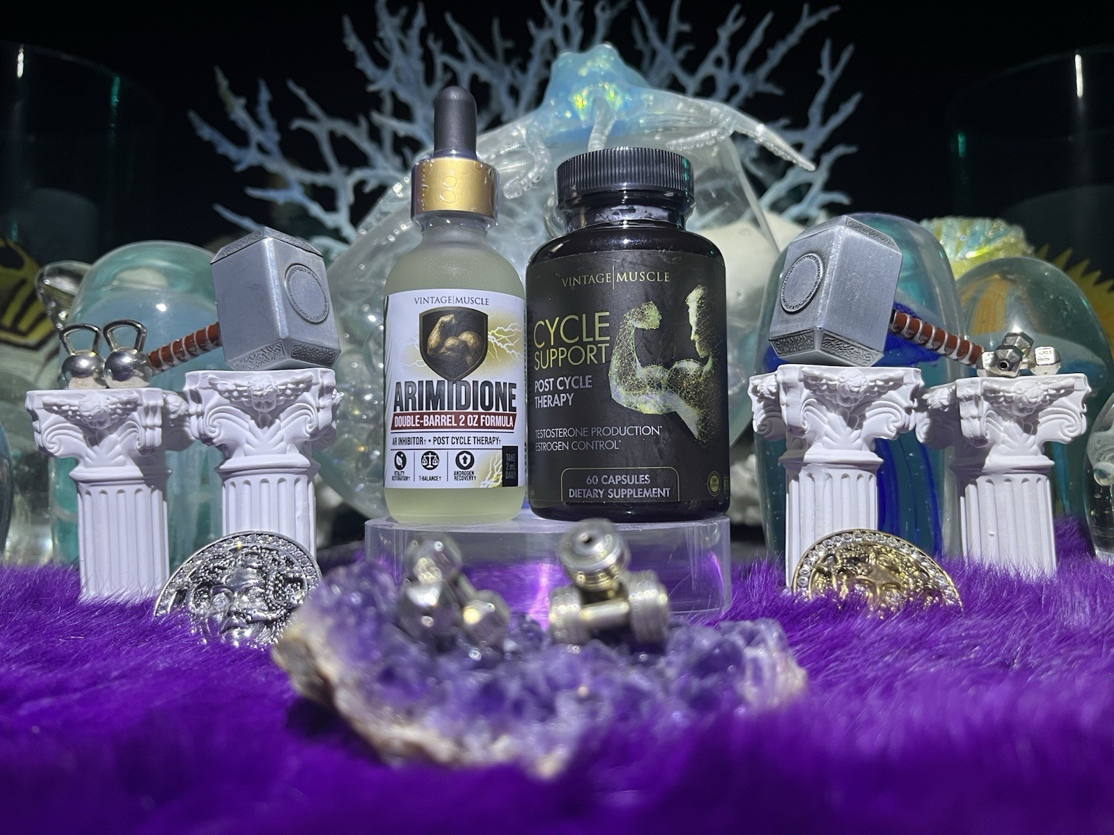 Post Cycle Therapy Stack Test Optimizer Arimotase Inhibitor By Vintage Muscle