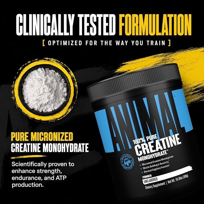 Animal Creatine Monohydrate Powder — Micronized for Muscle Recovery, Cellular En
