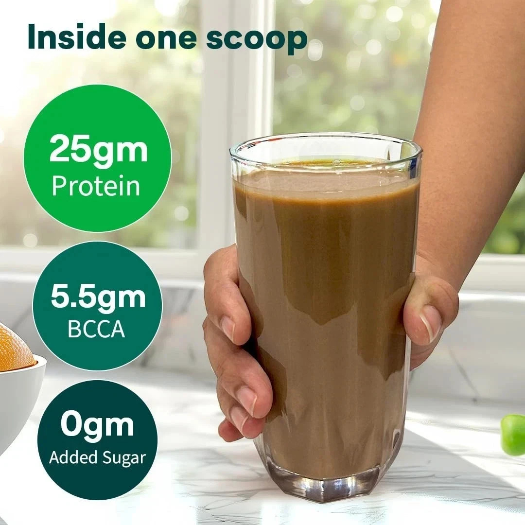 OZiva Plant Protein 500gm Powder Chocolate 25gm Protein BCAA Vegan No Sugar