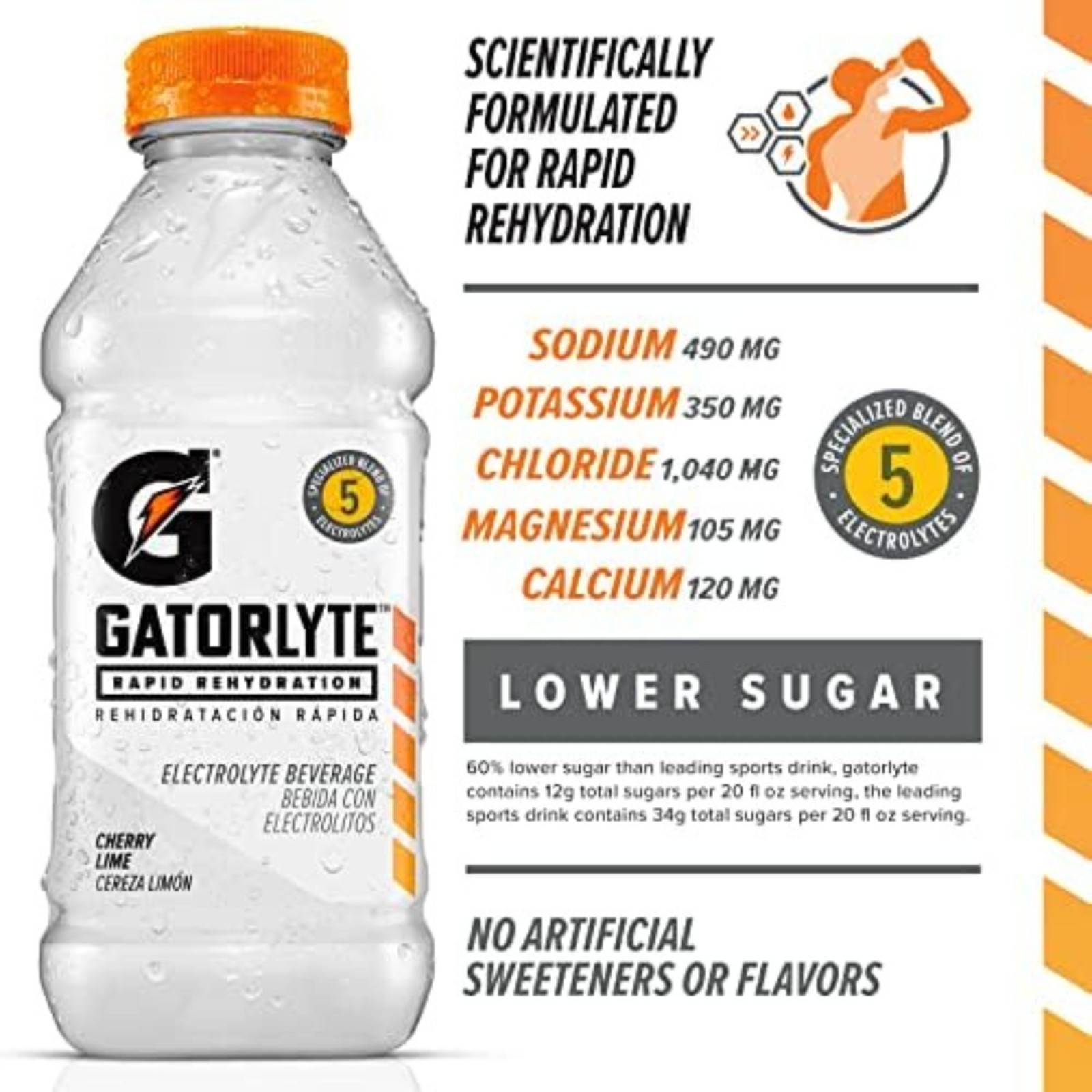 Gatorlyte Rapid Rehydration 6‑Flavor Sampler & Variety Pack – Electrolyte Drink