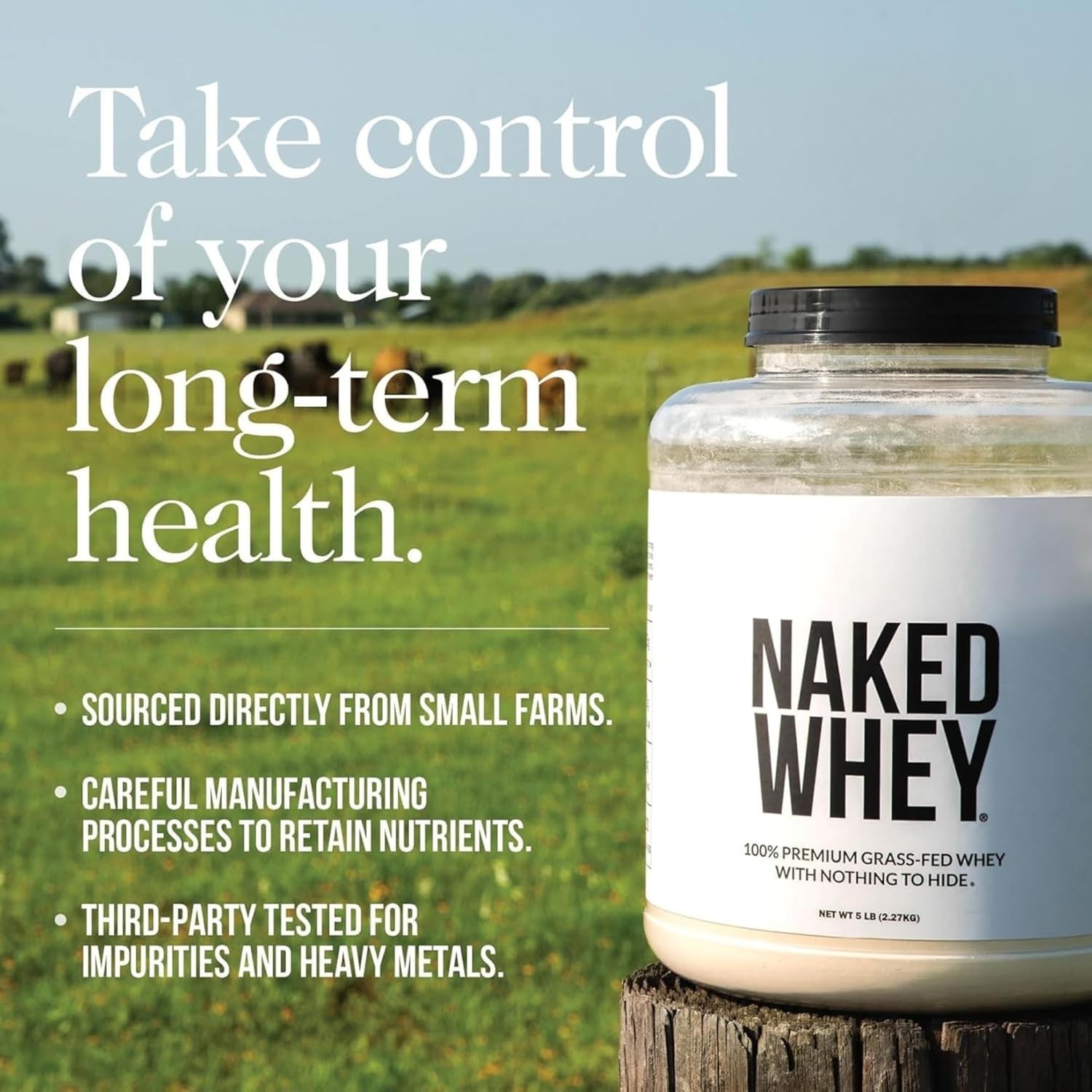 Cold Processed Vanilla Whey Protein, 1Lb – 3 Ingredients for Powerful Recovery