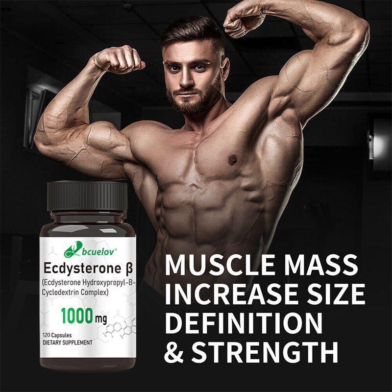 Ecdysterone 1000mg Supplement for Maximum Muscle Growth and Recovery 30/60/120pc
