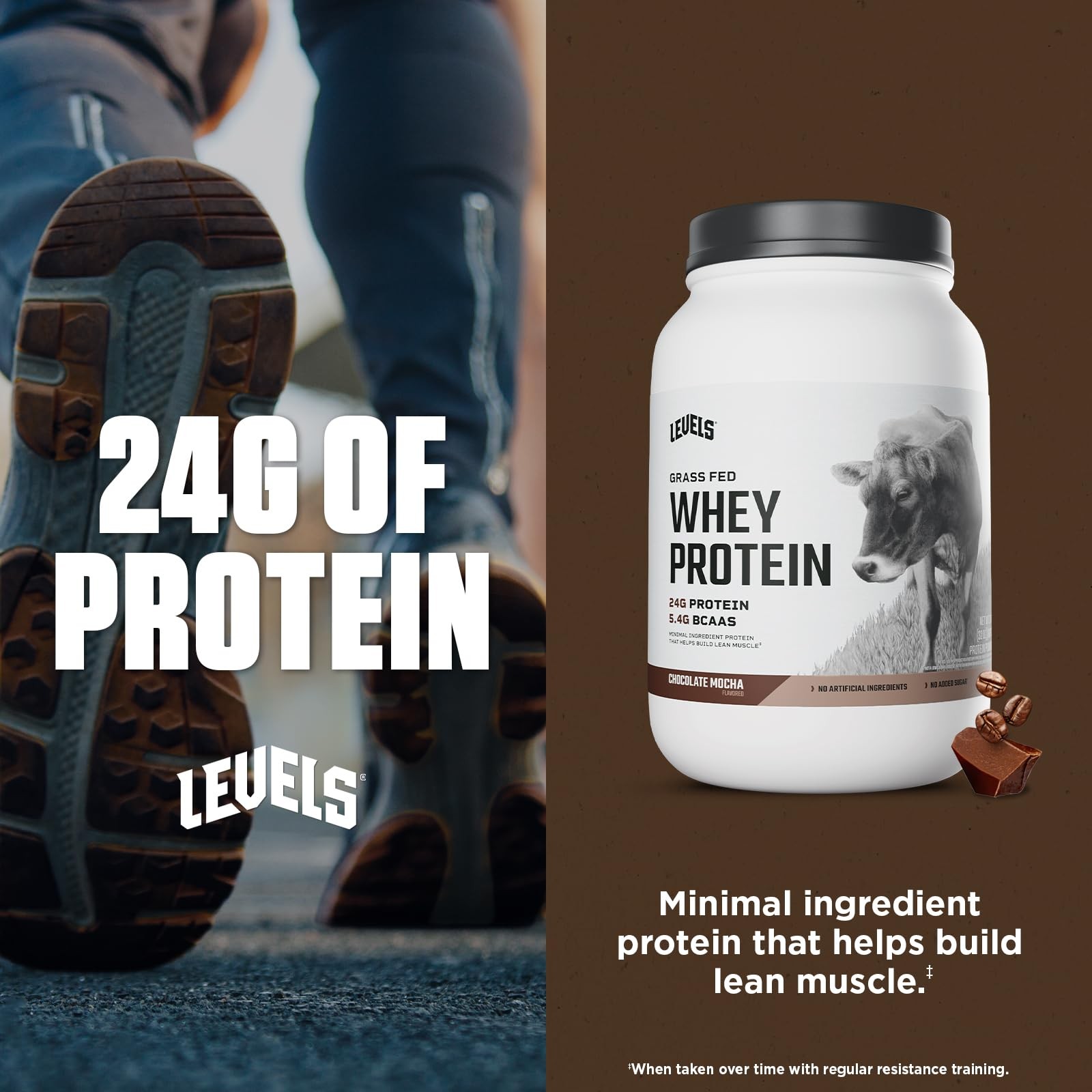 Levels Grass Fed Whey Protein Powder No Artificials 24G of Protein Chocolate …