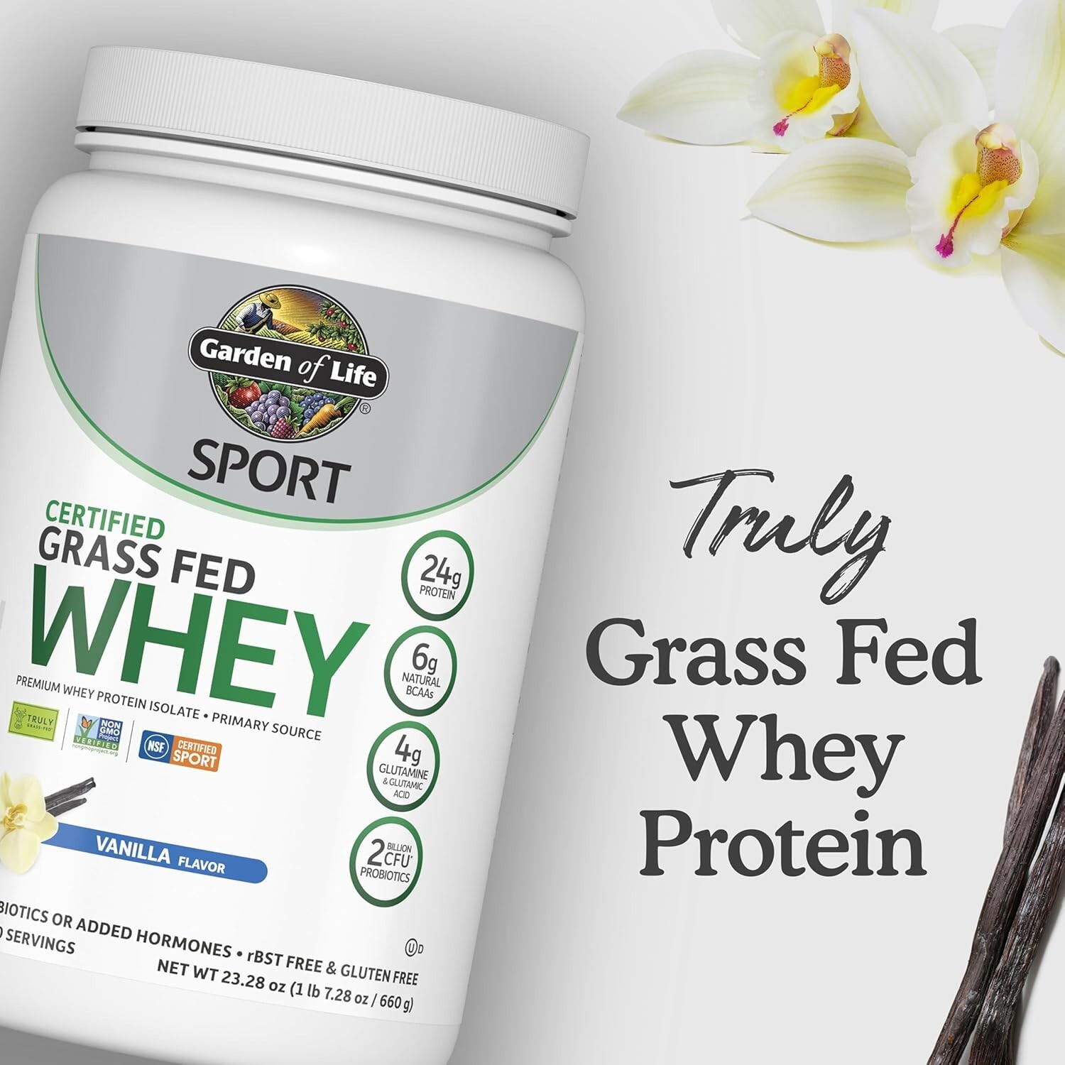 Non-GMO Vanilla Whey Protein Isolate – 20 Servings, Best Post-Workout Recovery