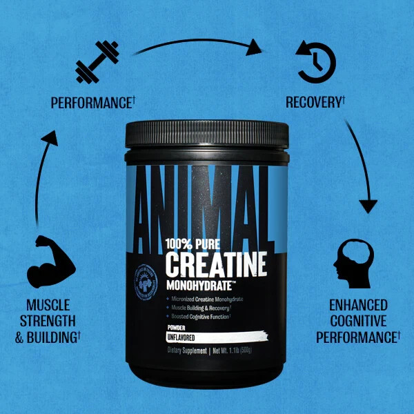 Universal Animal Micronized Creatine Monohydrate Powder Unflavored 3 Sizes New