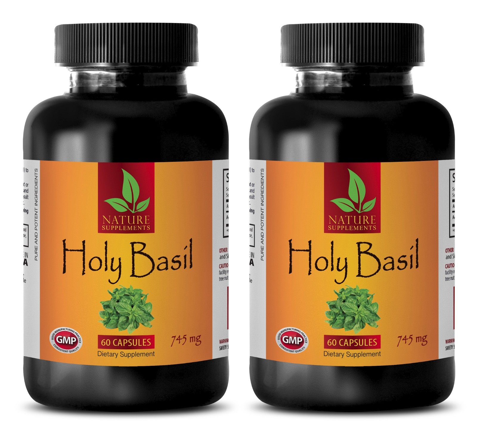Mood bracelet – HOLY BASIL EXTRACT 745MG 2B – basil cleaner