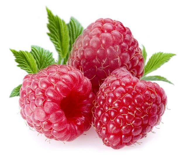 Antioxidant oil – RASPBERRY KETONES – ACAI BERRY COMBO – raspberry ketone drops