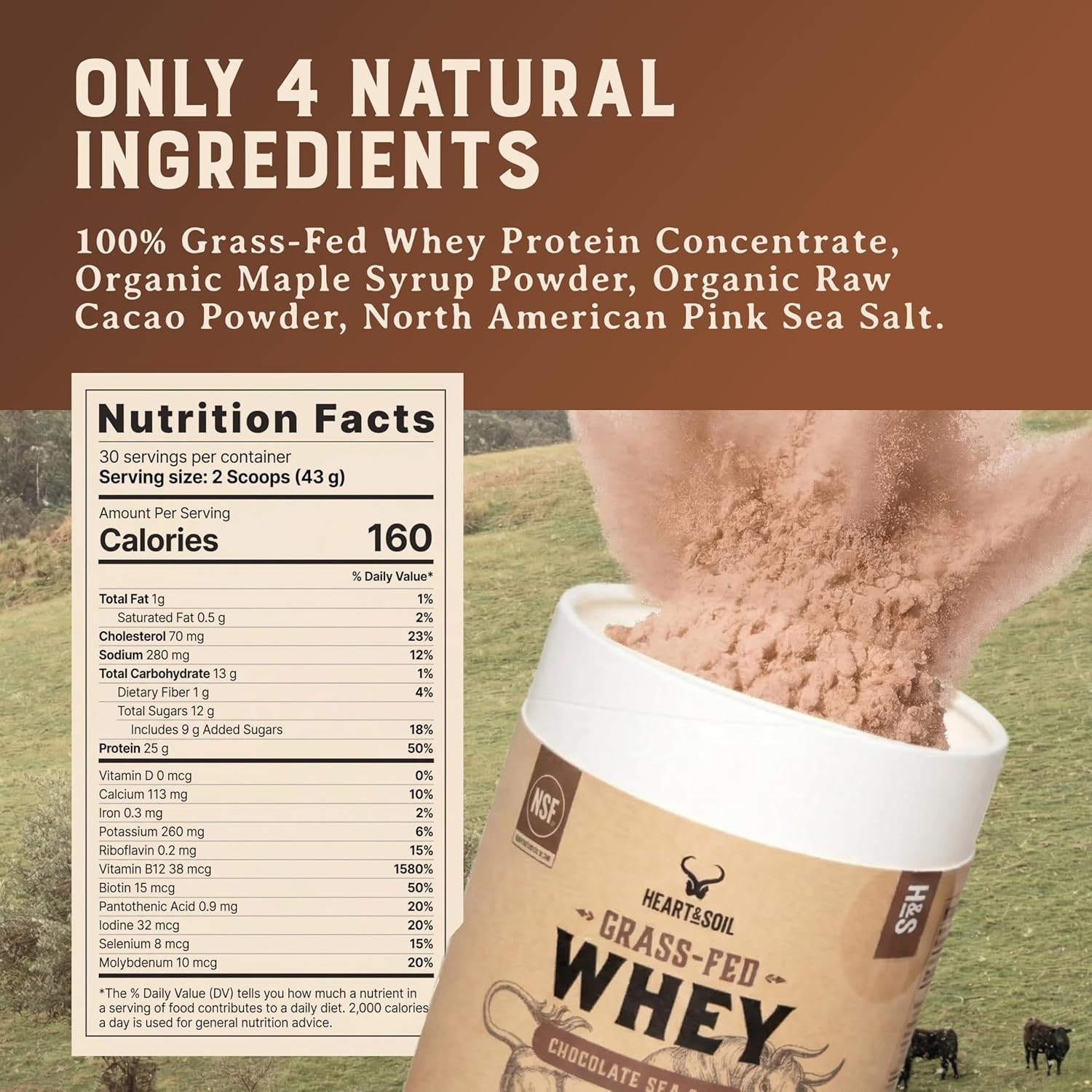 Heart & Soil Grass-Fed Whey Protein Powder Chocolate Sea Salt 25g Protein 2.84 l