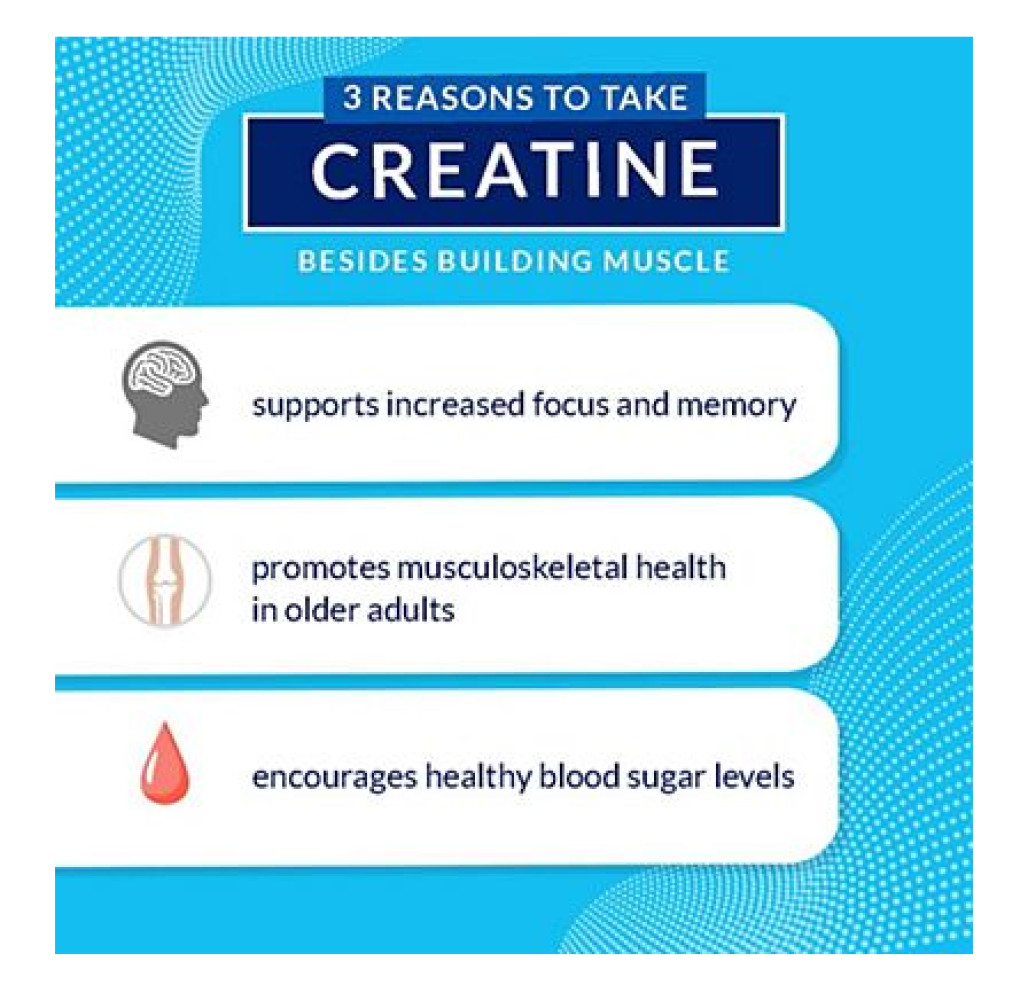 Creatine + Glutamine w/ Beta-Alanine Powder – Unflavored (10.8 oz./30 Servings)