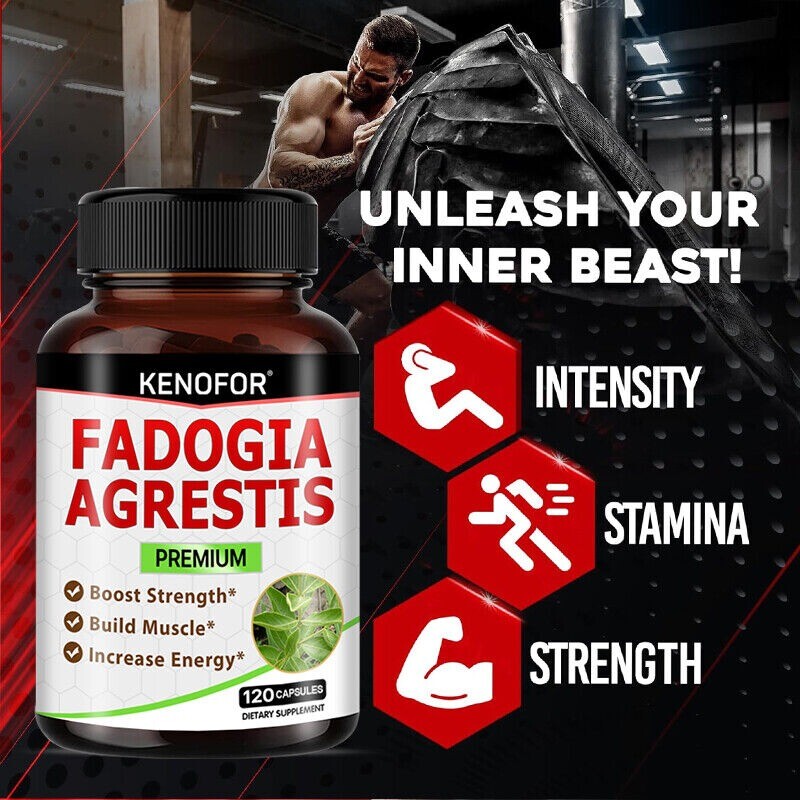 Fadogia Agrestis Herbal Extract – High Quality & Plant-Based – Vegan