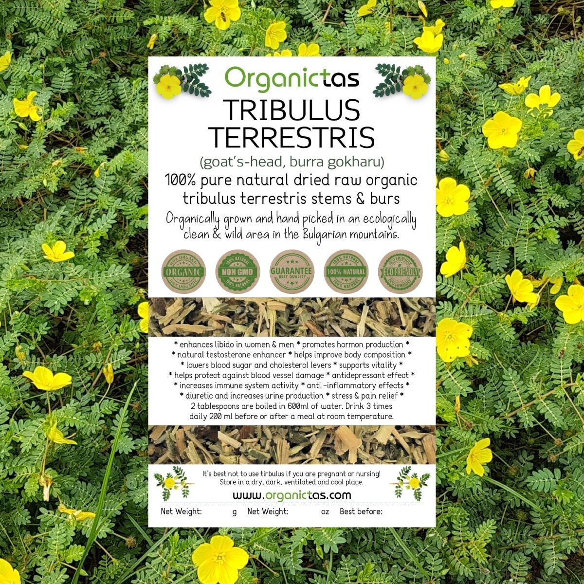 Best TRIBULUS TERRESTRIS Bodybuilding Tea for Men & Women Body Building, Detox .