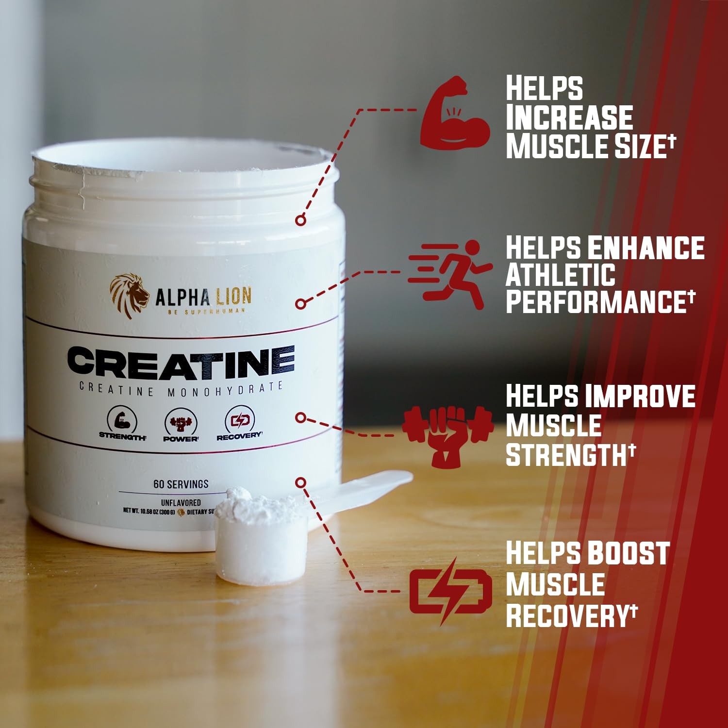 ALPHA LION Creatine Monohydrate Powder, 5000mg Per 12.48 Ounce (Pack of 1)