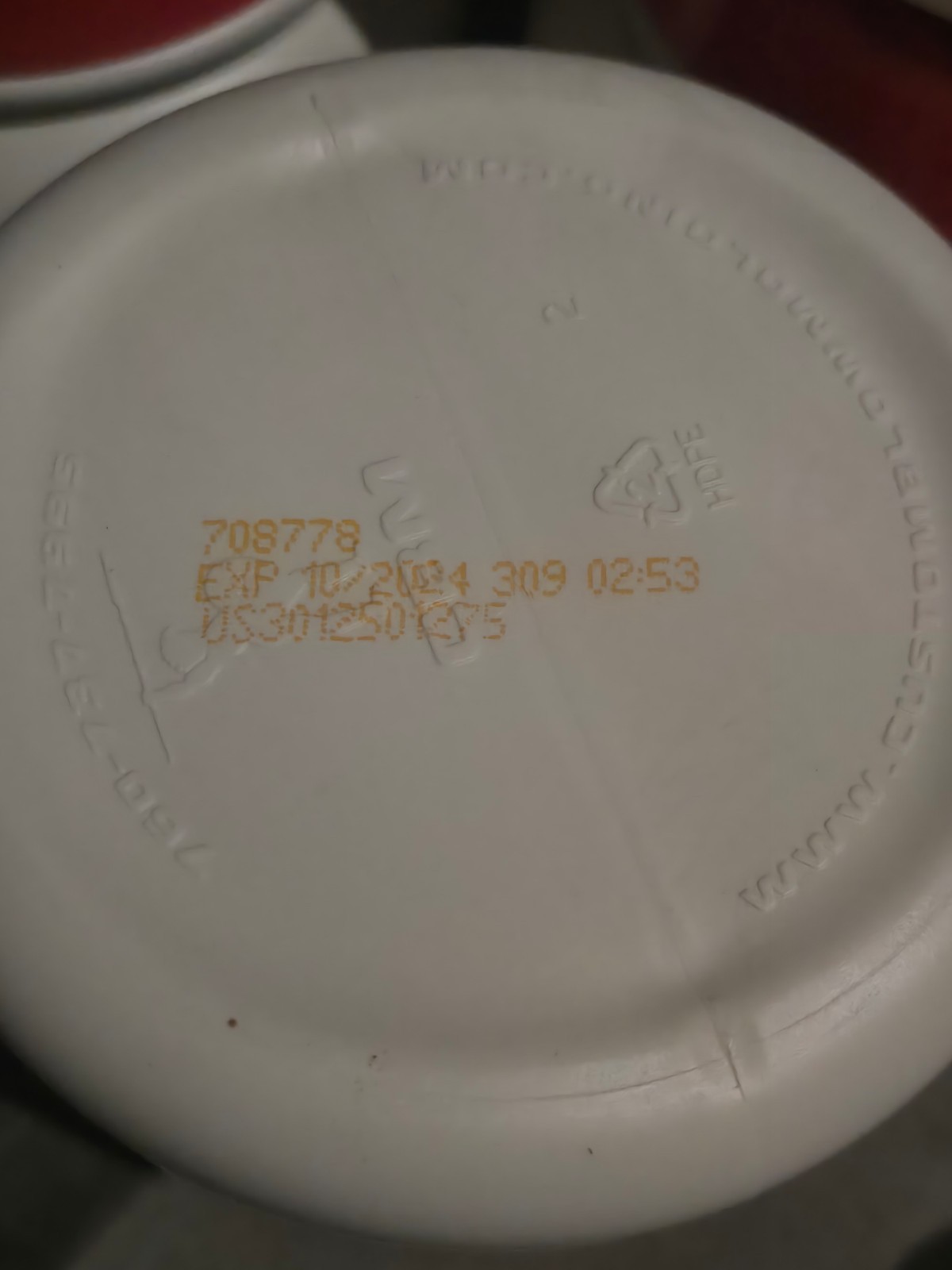 GHOST Whey Protein Pumpkin Pie Expired Collectible Tub Seasonal Flavor