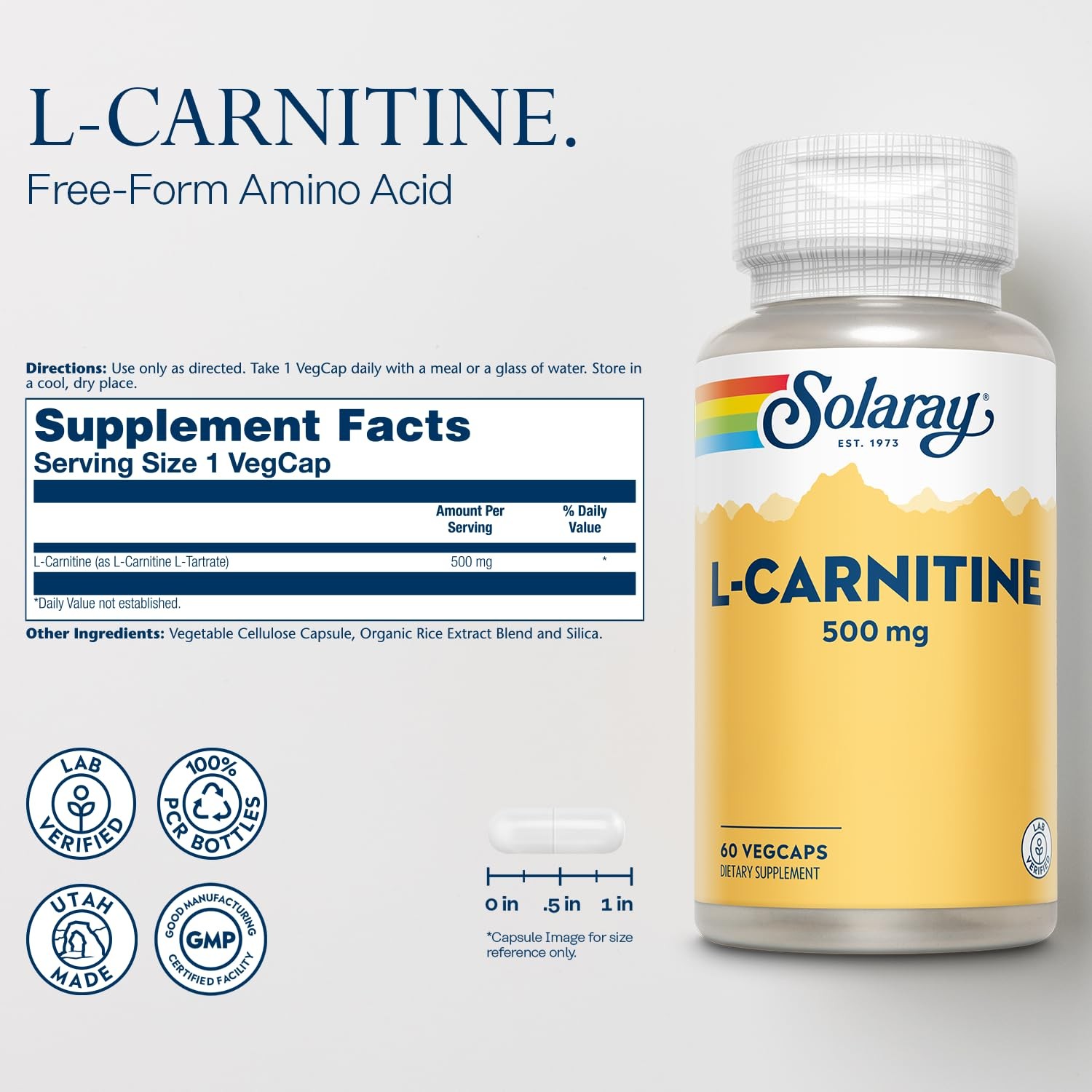Solaray L-Carnitine 500 Mg Form Amino Acid Lab Verified Gmp Facility 60-Day