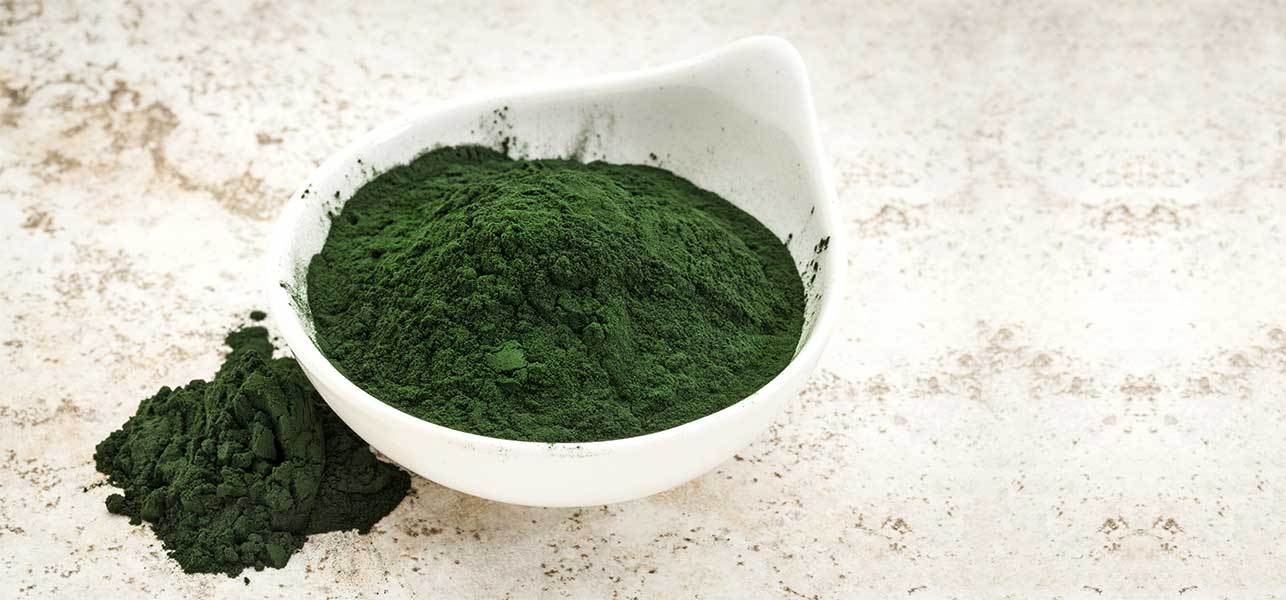 Shields Body From Bacteria – Blue Green Algae 500 – Organic Chorella Powder 6B