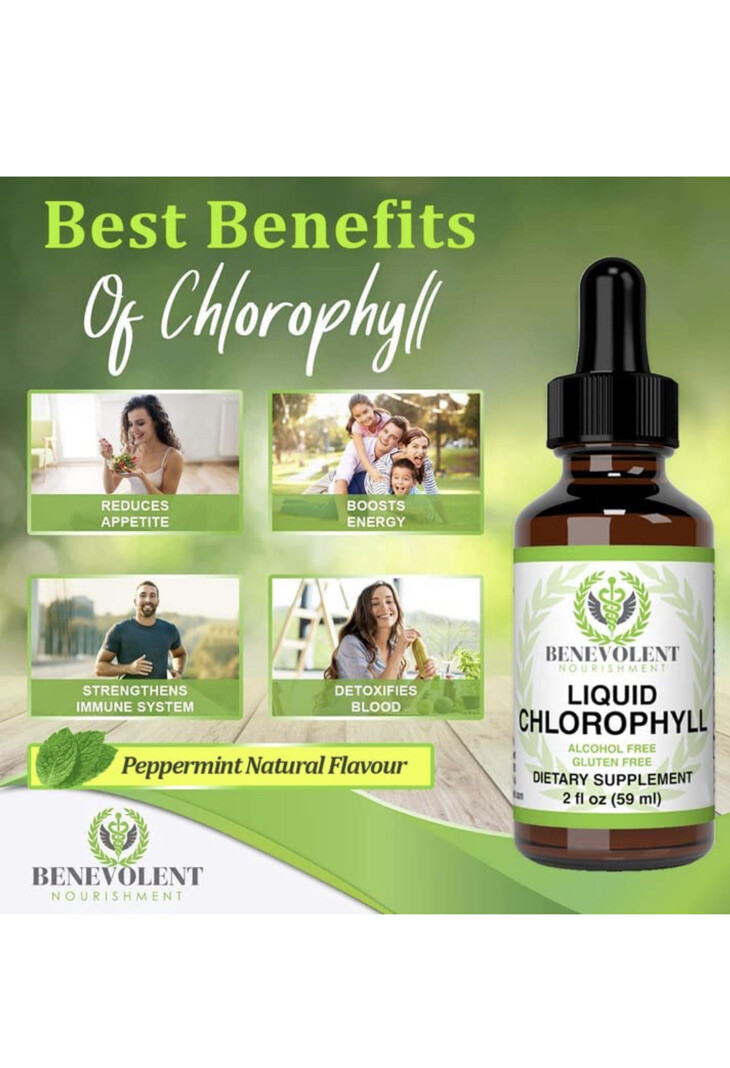 Chlorophyll Liquid Drops – Energy Boost | Immune System Support – 100% Natural