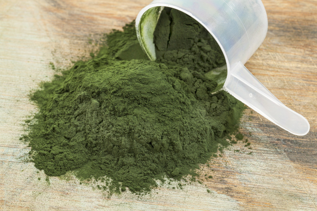 Fat burner natural ORGANIC BLUE GREEN ALGAE 500mg immune support supplement 2 B