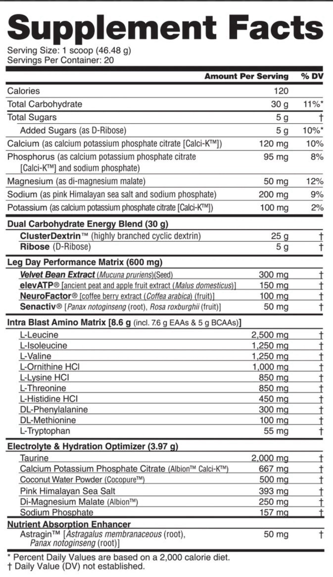 NutraBio Leg Day Intra Fuel Peach Mango Powder 32.79oz 20 Servings
