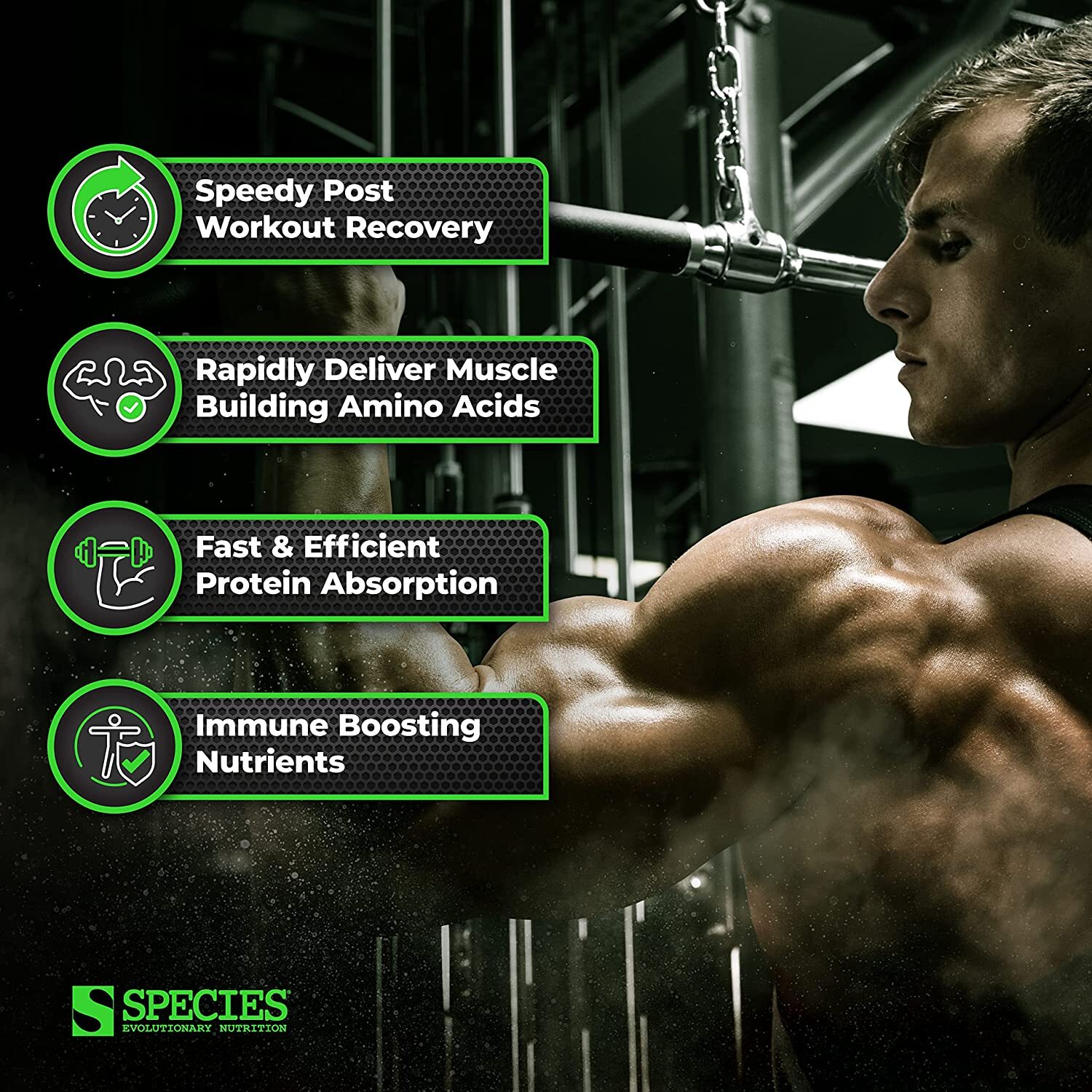 Species Nutrition ISOLYZE Whey Protein Isolate – **CHOOSE SIZE & FLAVOR**