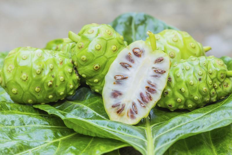 Wellness formula – GRAVIOLA – NONI Combo -noni juice – weight loss