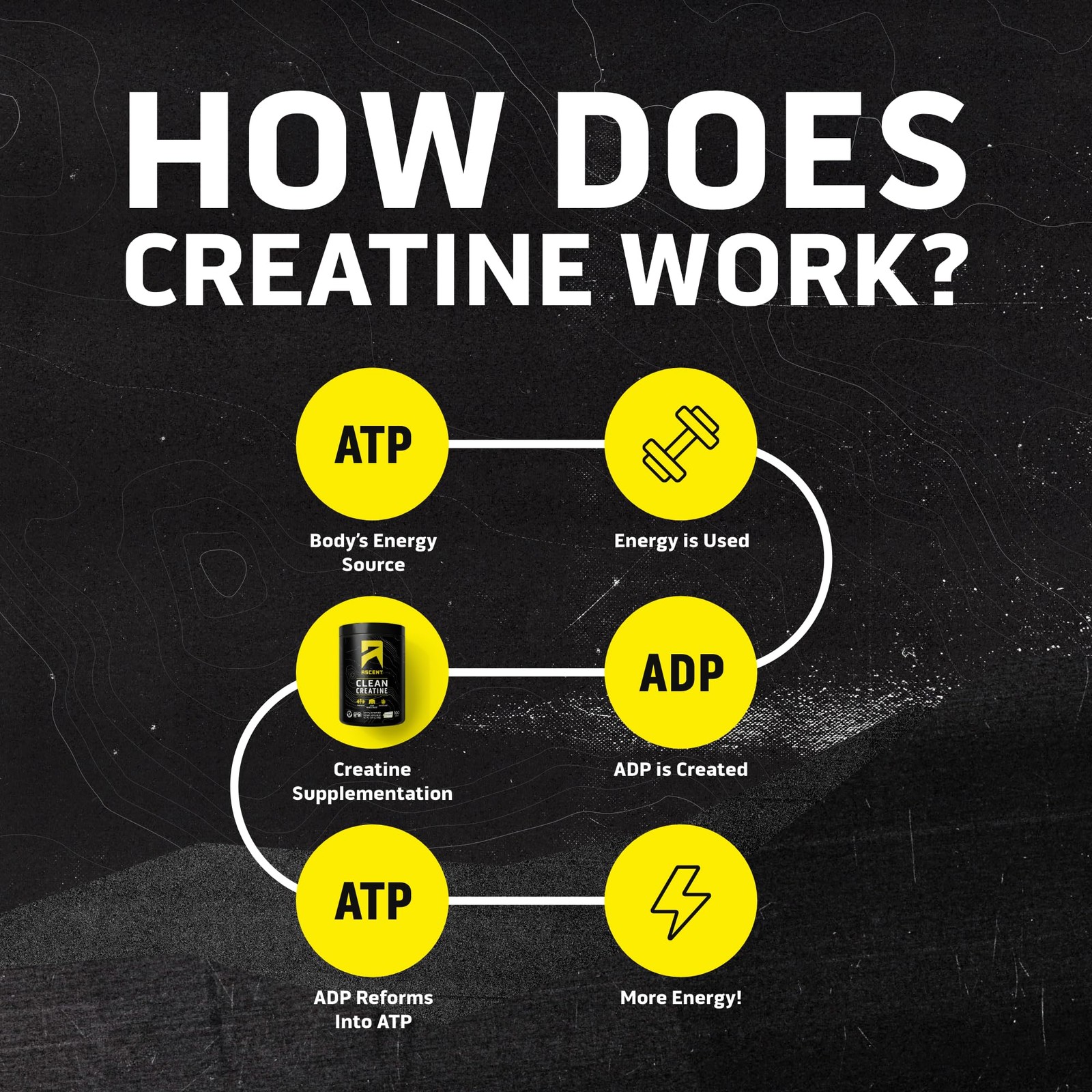 Ascent Clean Creatine Monohydrate Powder – 5G Per 100 Servings (Pack of 1)