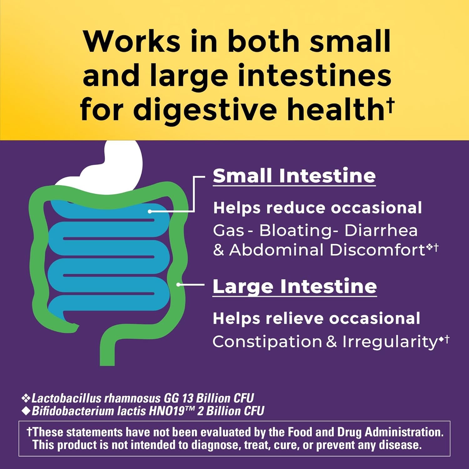 Gas & Bloating Relief Digestive Probiotics Supplement (30 Caps)