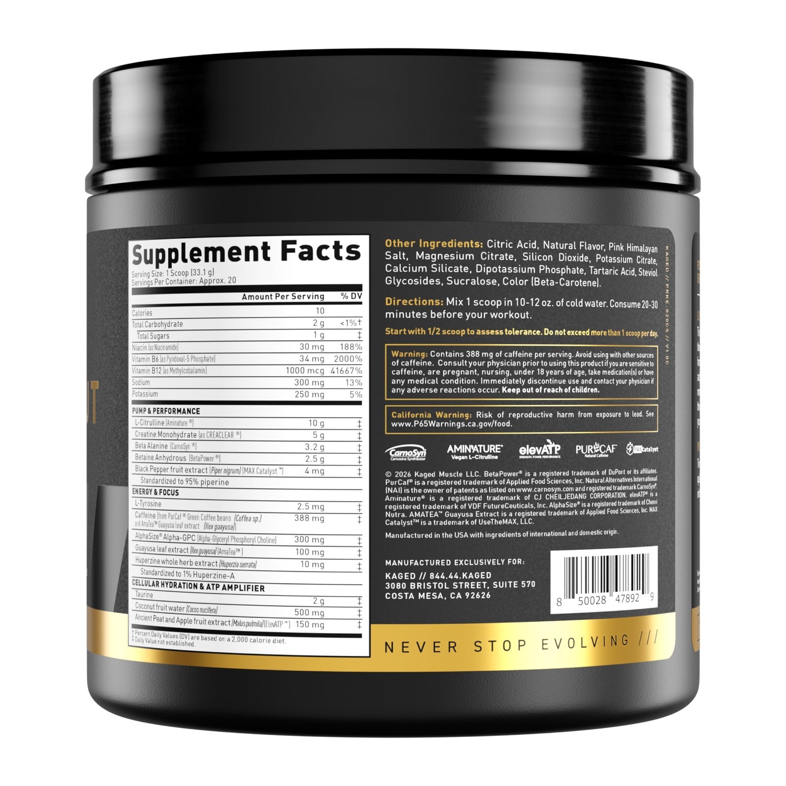 High-Stimulant Pre Workout Powder for Energy & Focus | L-Citrulline, Beta Alanin