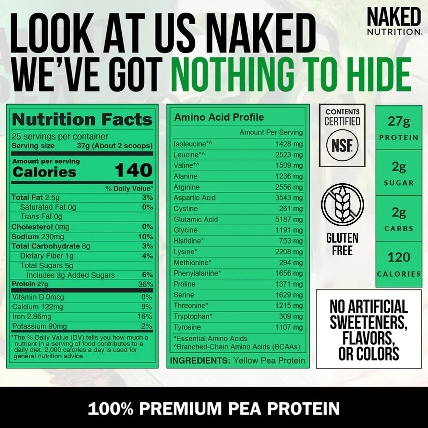 Dairy-Free Pea Protein Powder – 2LB of Clean Nutrition, Easy to Digest
