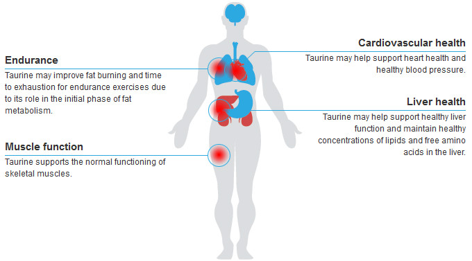 anti inflammatory foods – L-TAURINE 500MG – taurine amino acid 1B