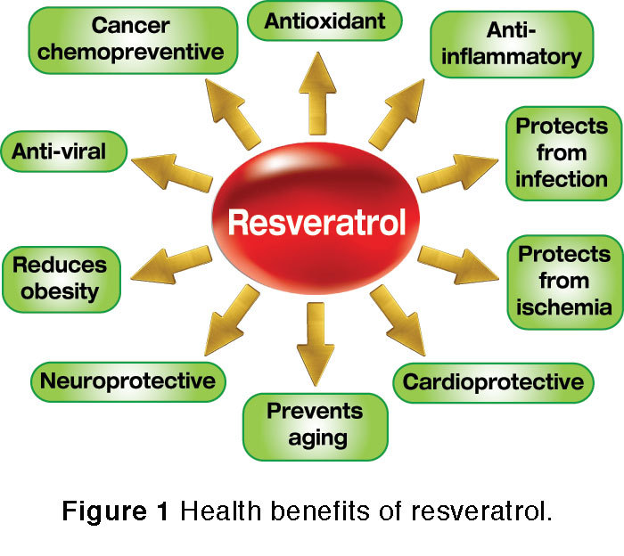 red grapes wine – RESVERATROL Supreme 1200 – Works as an anti inflammatory – 1 B
