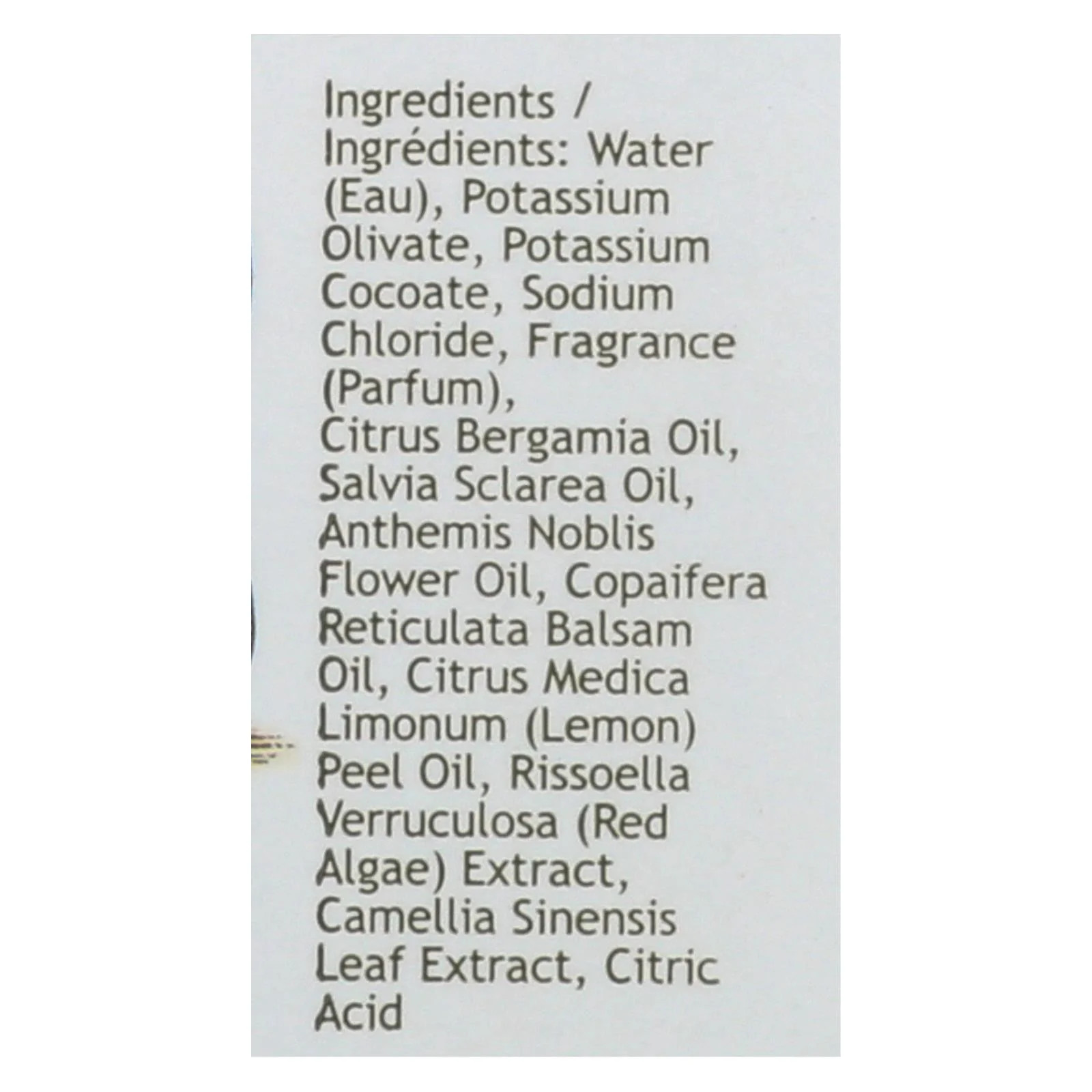 South of France Green Tea Hand Wash (8 Oz)
