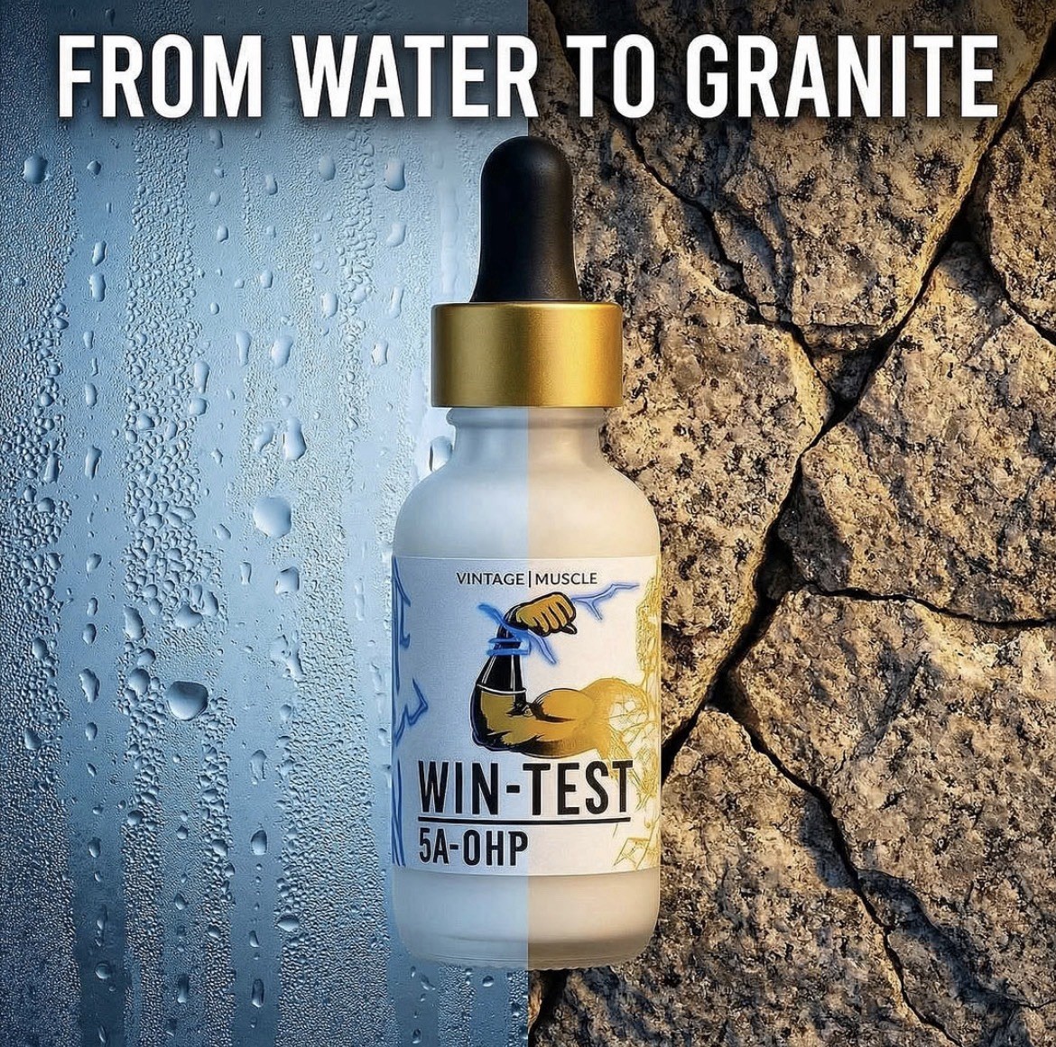 Wintest Striated Dry Gainer 2 Step Precursor To Winstrol By Vintage Muscle 💪