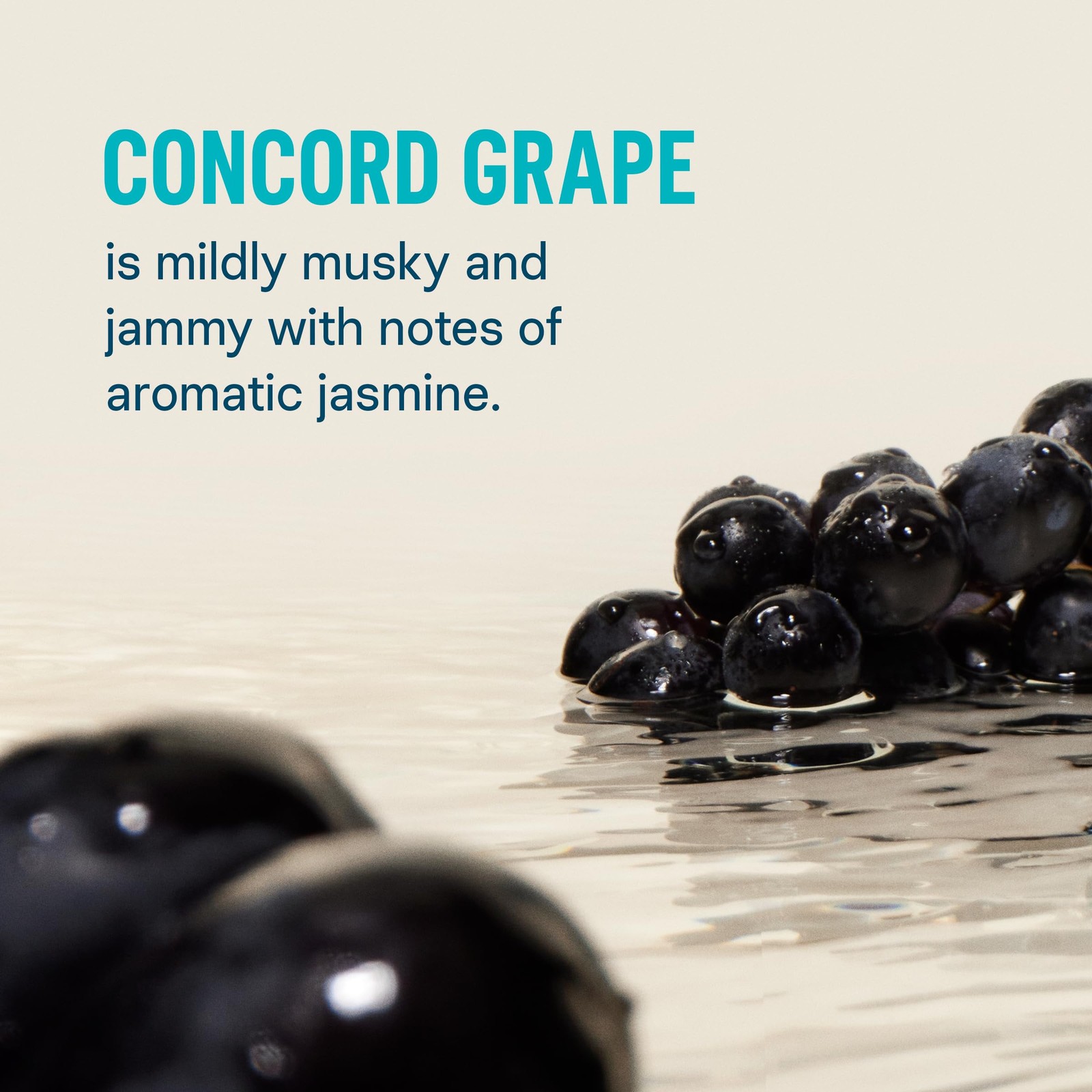 Liquid I.V.® Hydration Multiplier – Concord Grape | Electrolyte 48 Count