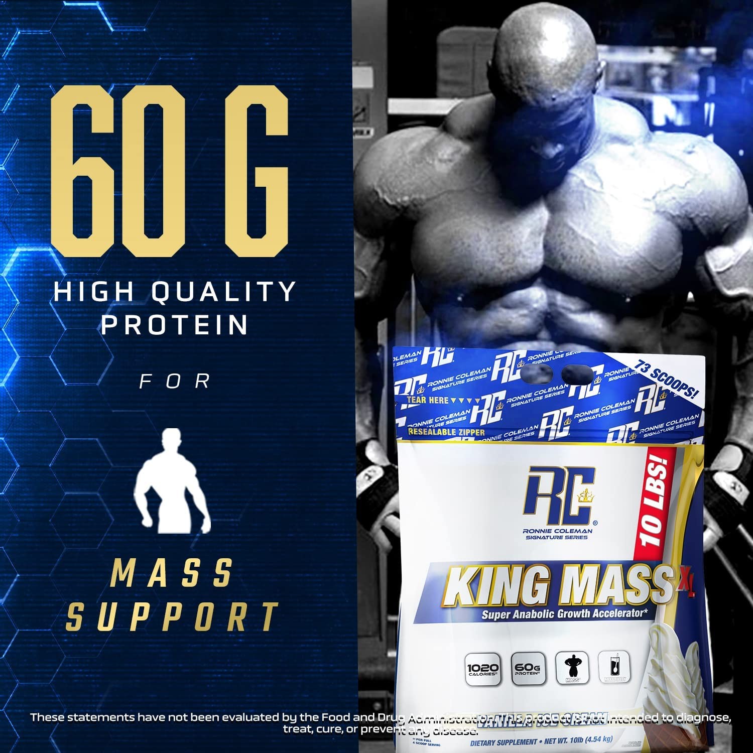 Coleman Signature Series King Mass XL Mass Gainer Protein Powder – Dark Chocolat