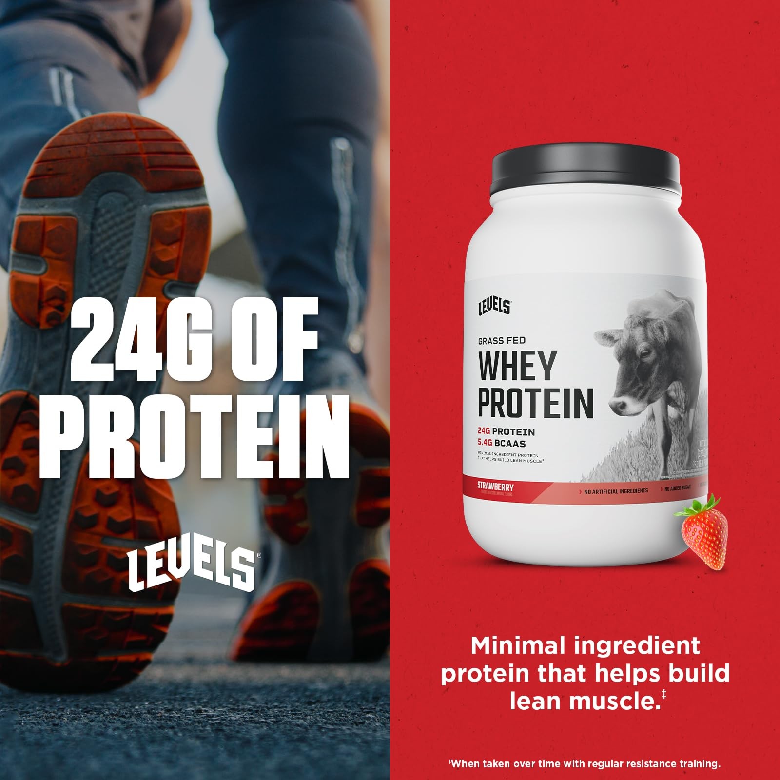 Levels Grass Fed Whey Protein Powder No Artificials 24G of Protein Strawberry…