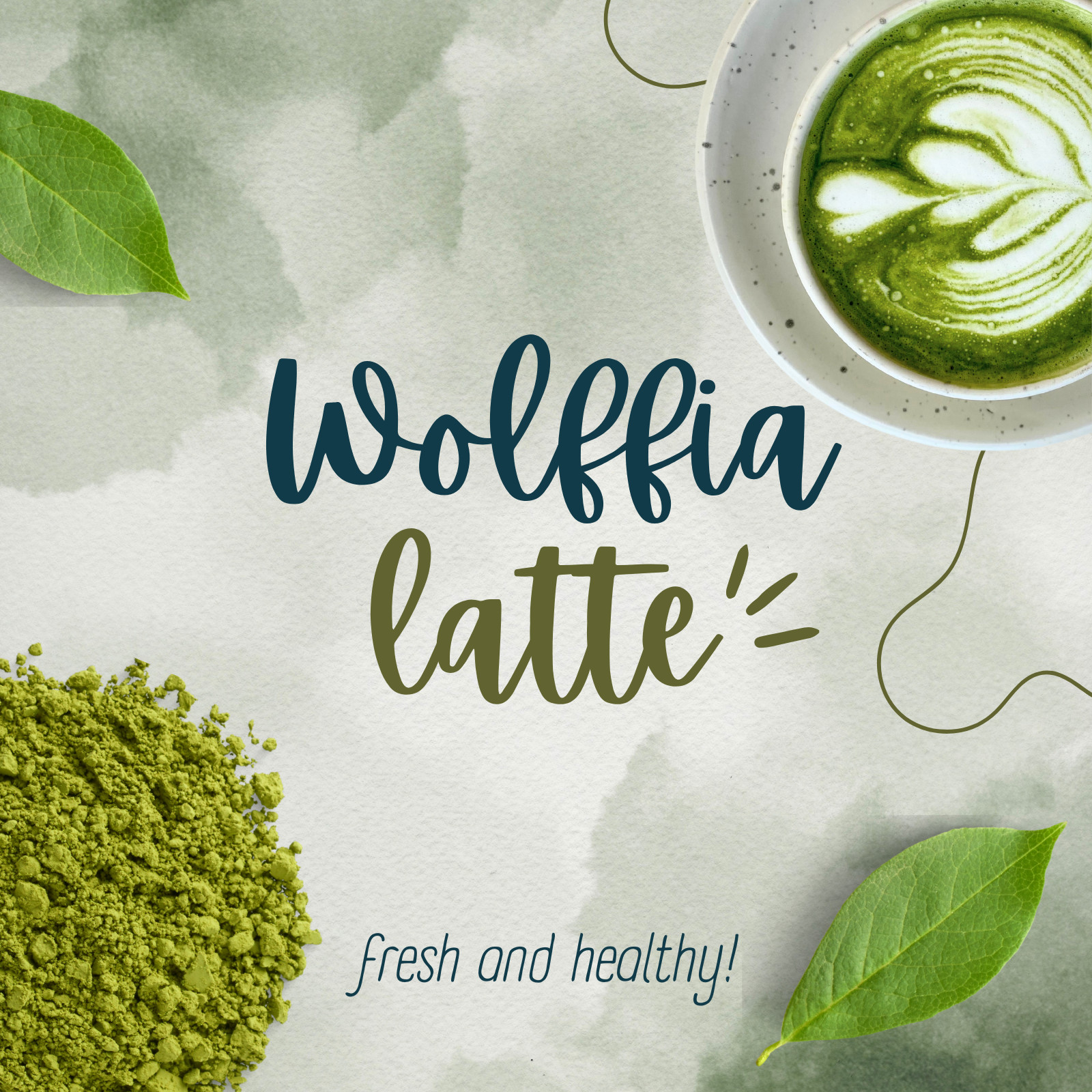 Wolffia Globosa Powder Plant-Based Superfood | High Protein | B12 – Ship from CA