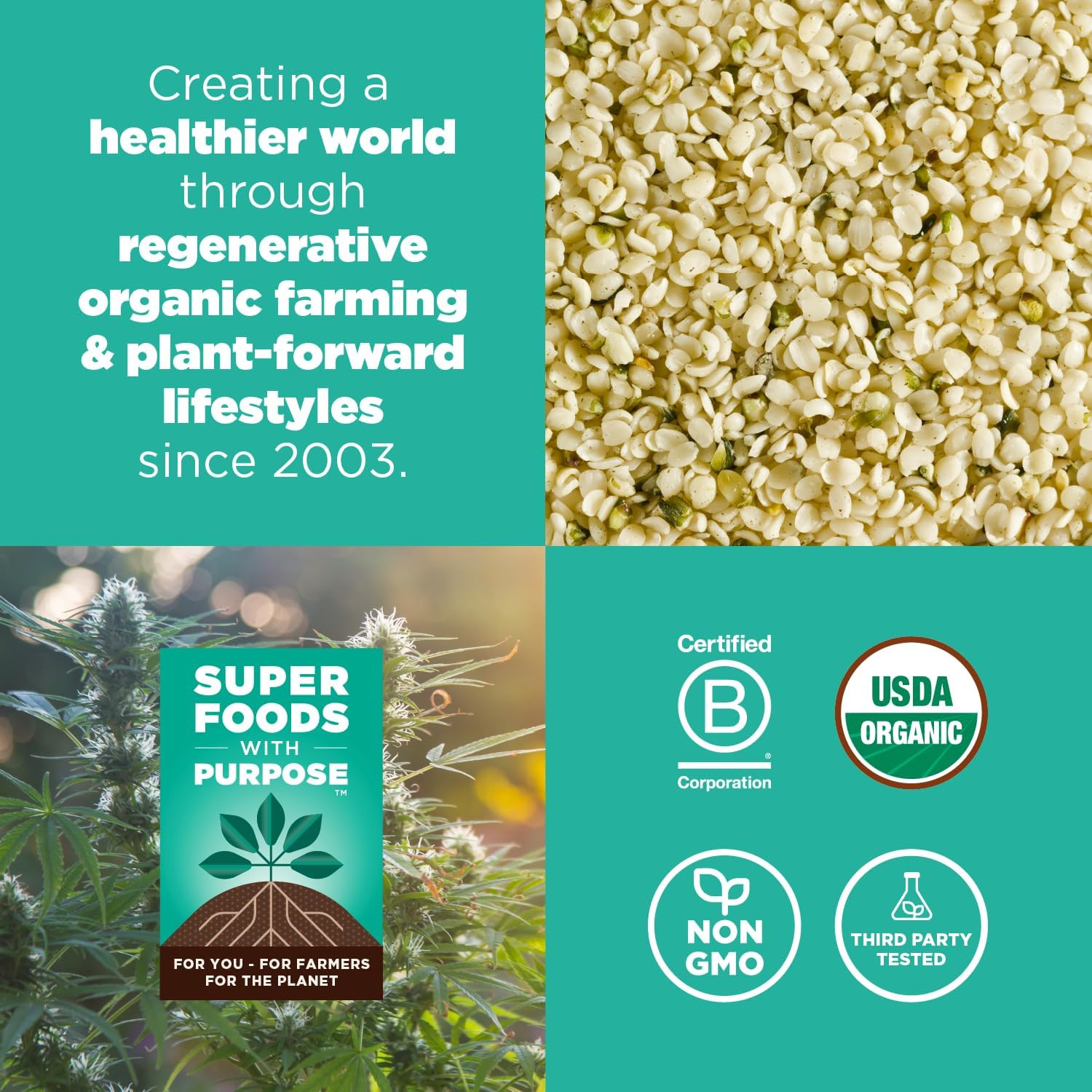 Hemp Powder – Vegan Protein, Fiber & Minerals – for Smoothies, Oatmeal, Baking ,